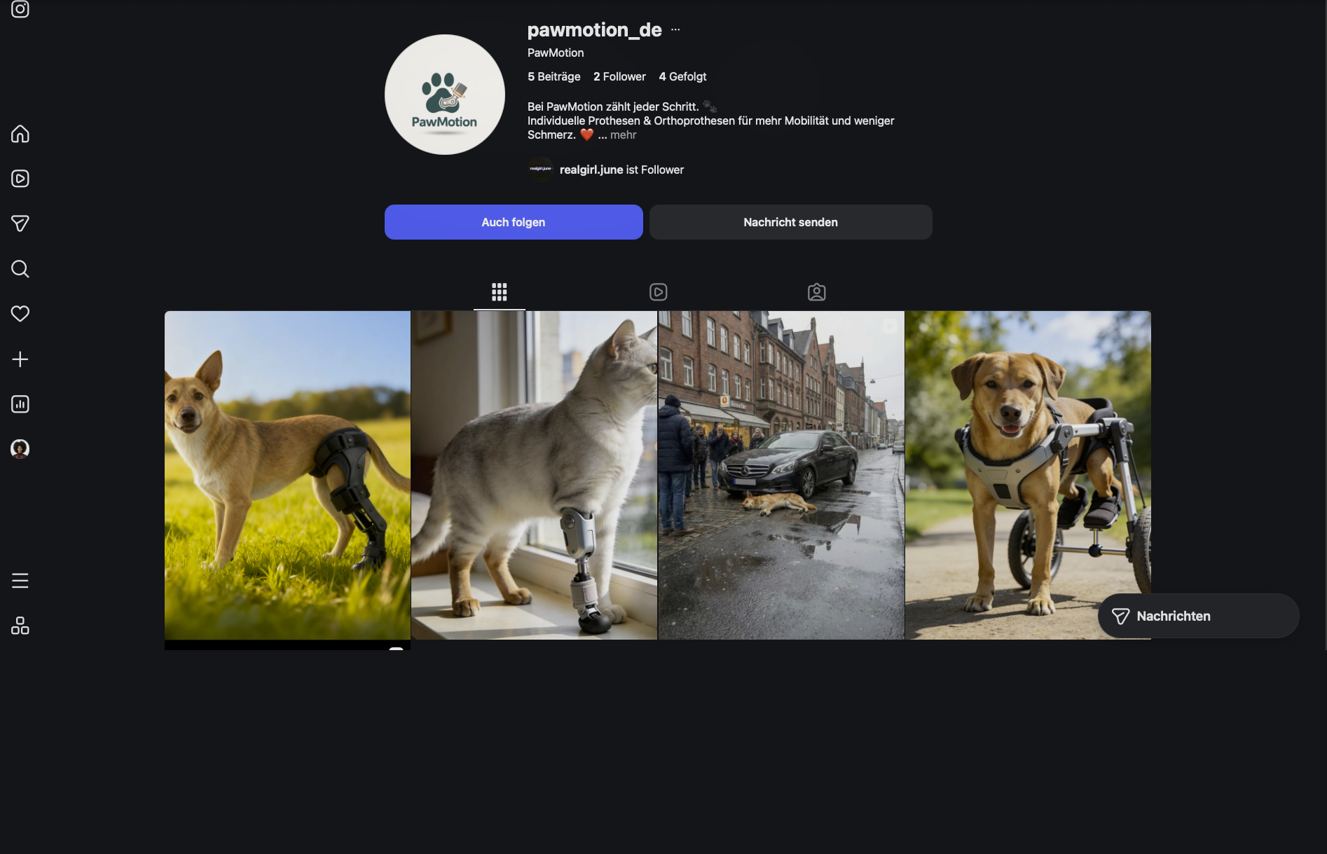 Paw Motion on Instagram